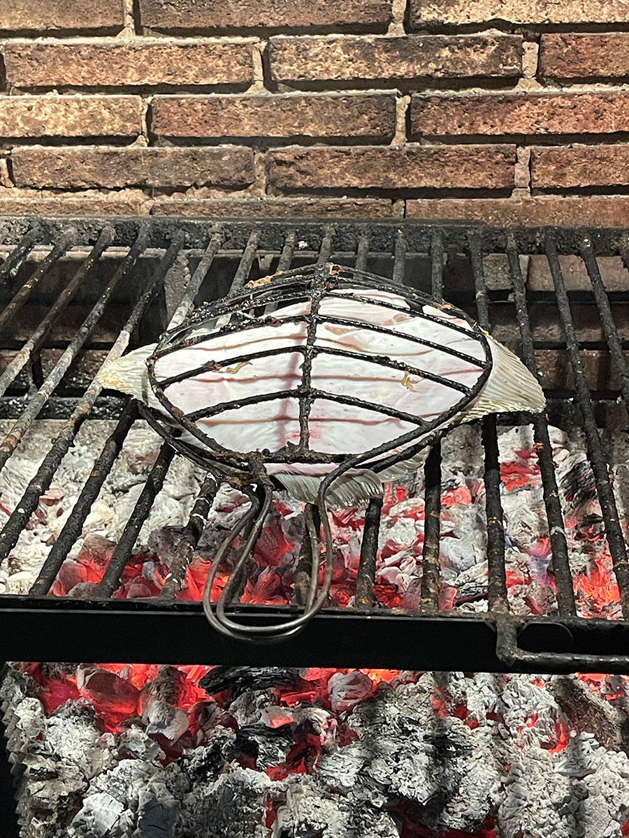 RODABALLO EXPERIENCE 3