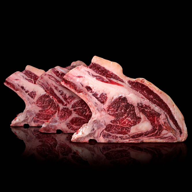 TXULETA EXPERIENCE 14